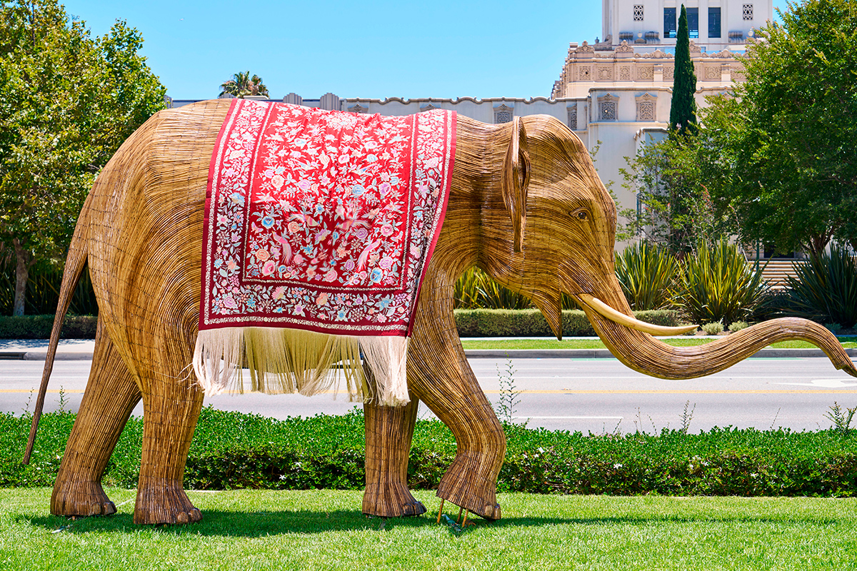 The great elephant migration