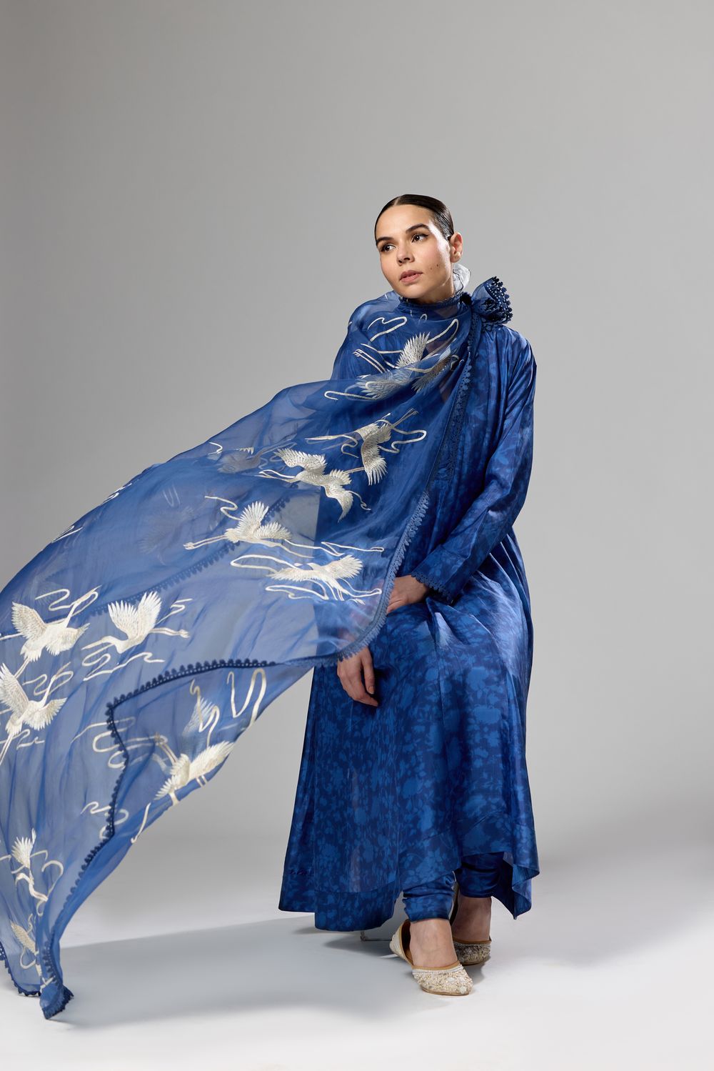 Bangalora Silk Printed Kurta with Tinsel Crane Dupatta